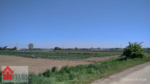 Działka 5200 m2 w Zofipole