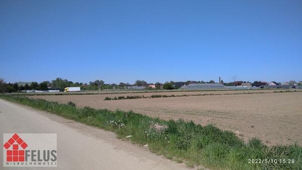 Działka 5200 m2 w Zofipole