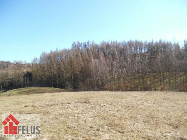 Działka 1376 m2 w Masłomiąca