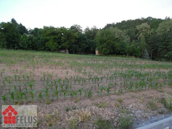 Działka 1376 m2 w Masłomiąca