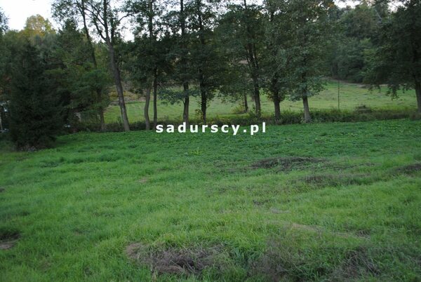 Działka 7582 m2 w Iwanowice Włościańskie