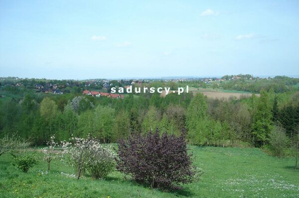 Działka 35528 m2 w Mogilany