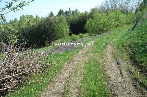 Działka 35528 m2 w Mogilany