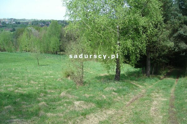 Działka 35528 m2 w Mogilany