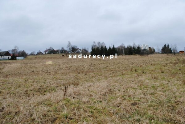 Działka 5400 m2 w Głogoczów