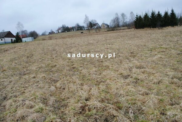 Działka 5400 m2 w Głogoczów