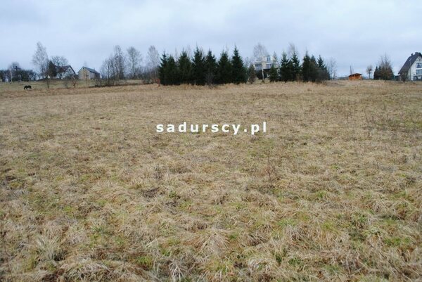 Działka 5400 m2 w Głogoczów