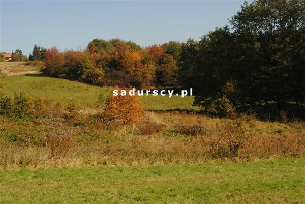 Działka 2761 m2 w Kraków