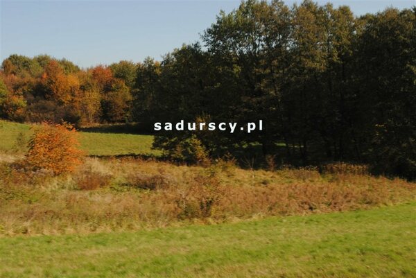 Działka 2761 m2 w Kraków