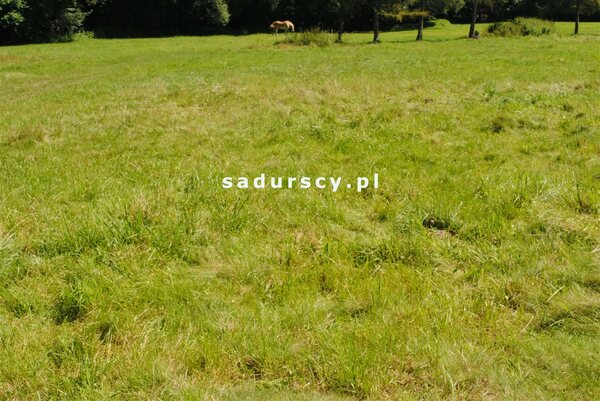 Działka 8670 m2 w Gdów