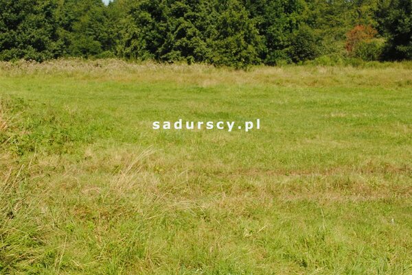 Działka 8670 m2 w Gdów