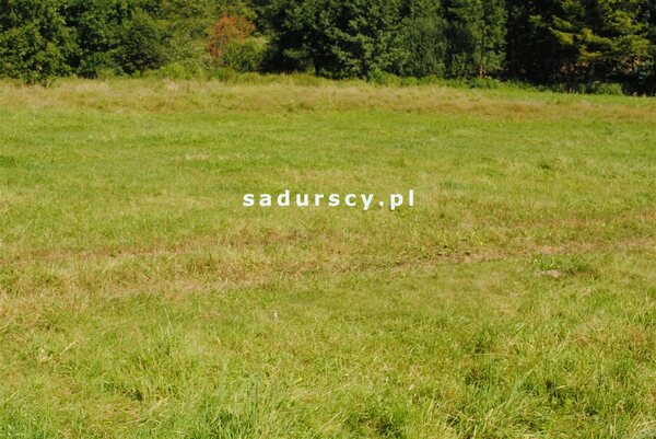 Działka 8670 m2 w Gdów