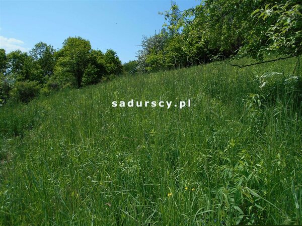 Działka 2132 m2 w Kraków