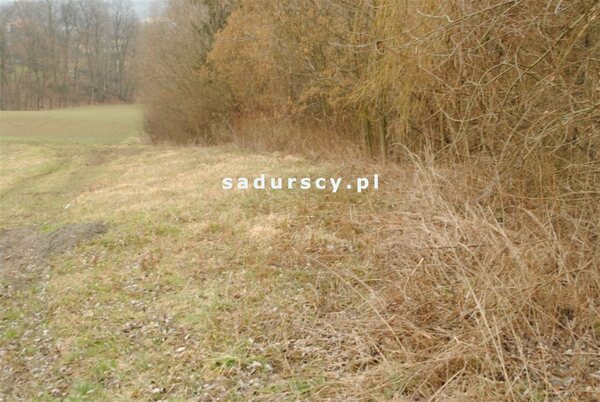 Działka 1467 m2 w Mogilany