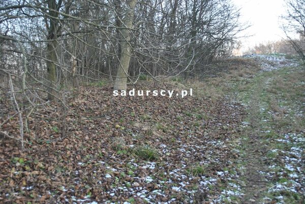 Działka 1900 m2 w Czarnochowice