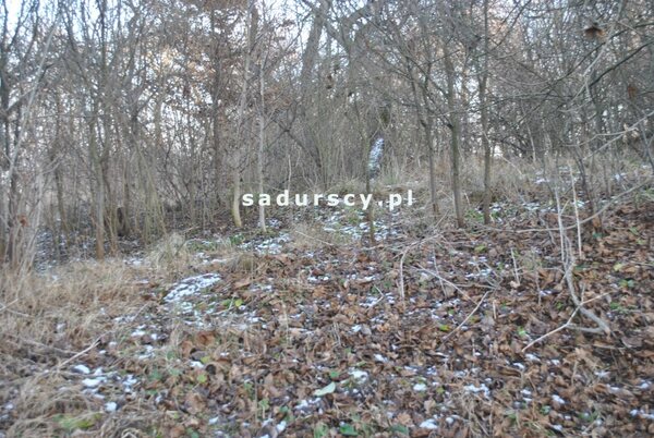 Działka 1900 m2 w Czarnochowice