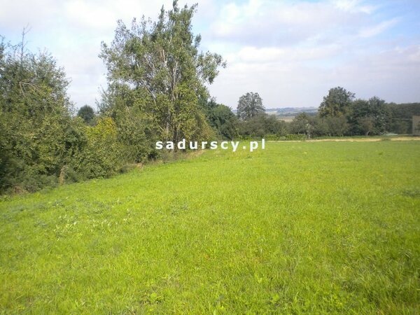 Działka 28520 m2 w Gołyszyn