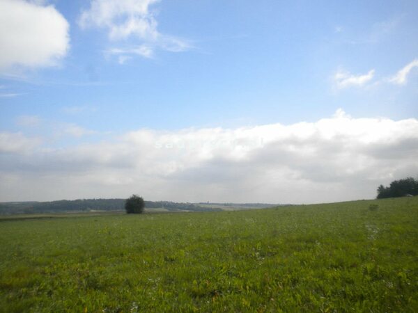 Działka 28520 m2 w Gołyszyn