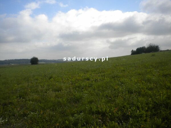 Działka 28520 m2 w Gołyszyn