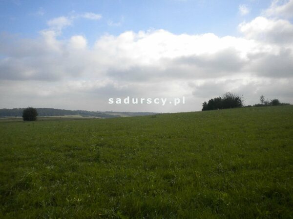 Działka 28520 m2 w Gołyszyn