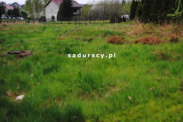 Działka 1500 m2 w Bodzanów