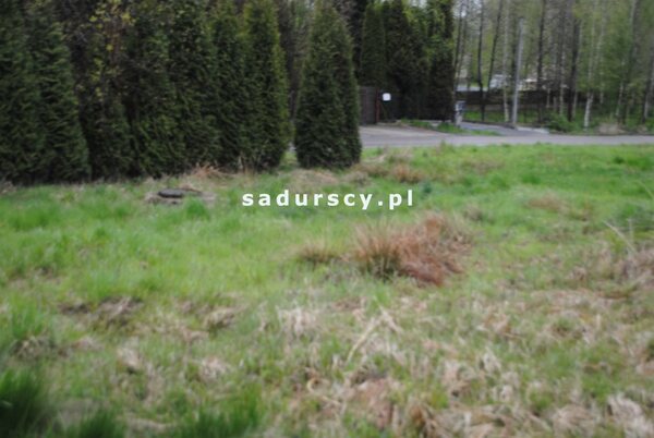 Działka 1500 m2 w Bodzanów