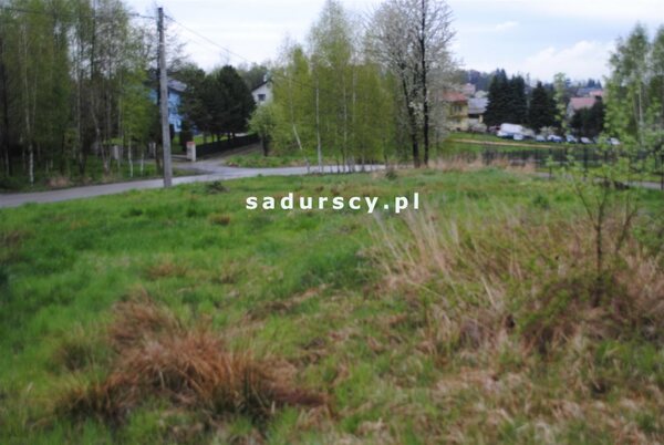 Działka 1500 m2 w Bodzanów