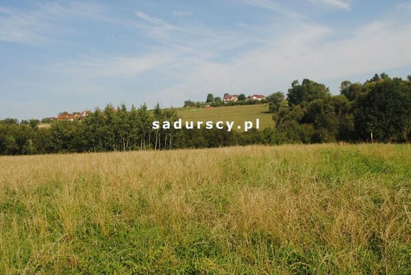 Działka 9000 m2 w Gruszów