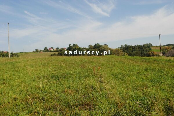 Działka 9000 m2 w Gruszów