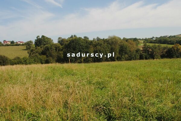 Działka 9000 m2 w Gruszów