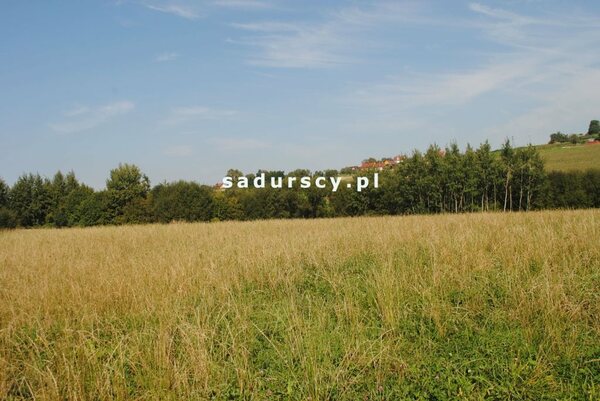 Działka 9000 m2 w Gruszów