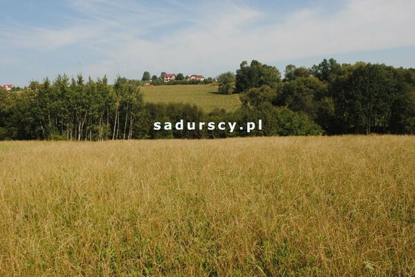 Działka 9000 m2 w Gruszów