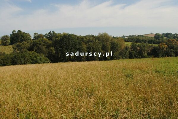 Działka 9000 m2 w Gruszów