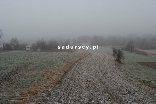 Działka 7800 m2 w Stadniki