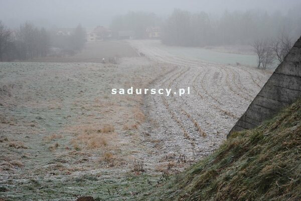 Działka 7800 m2 w Stadniki