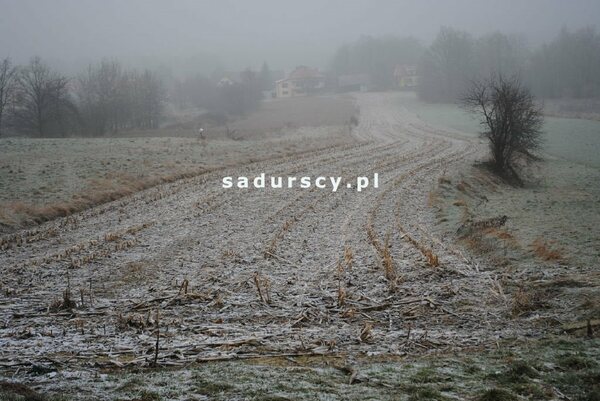 Działka 7800 m2 w Stadniki