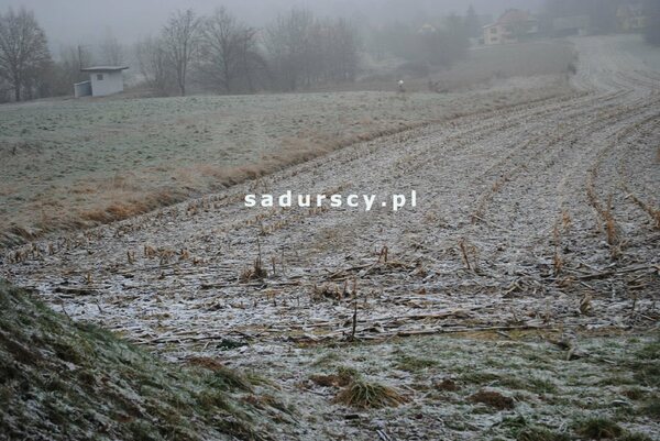 Działka 7800 m2 w Stadniki