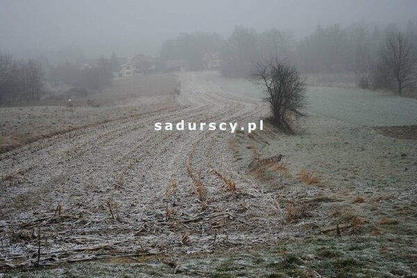 Działka 7800 m2 w Stadniki