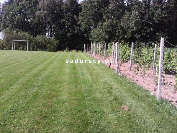 Działka 2728 m2 w Będkowice