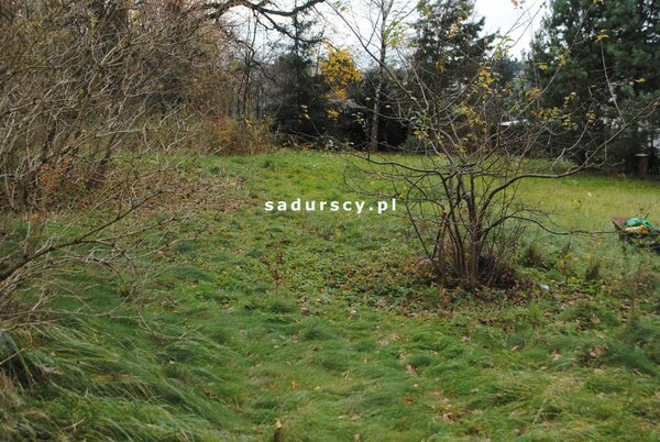 Działka 1100 m2 w Kraków