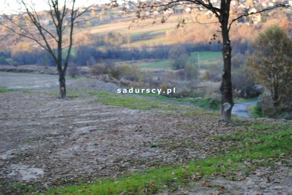 Działka 1000 m2 w Golkowice