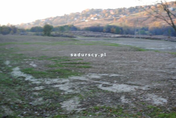 Działka 1000 m2 w Golkowice