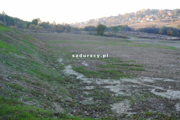 Działka 1000 m2 w Golkowice