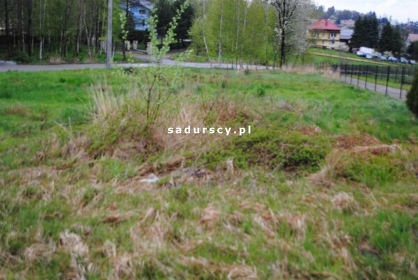 Działka 1500 m2 w Bodzanów