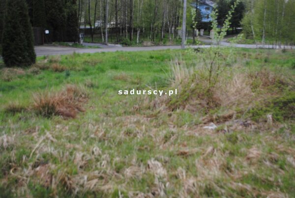 Działka 1500 m2 w Bodzanów