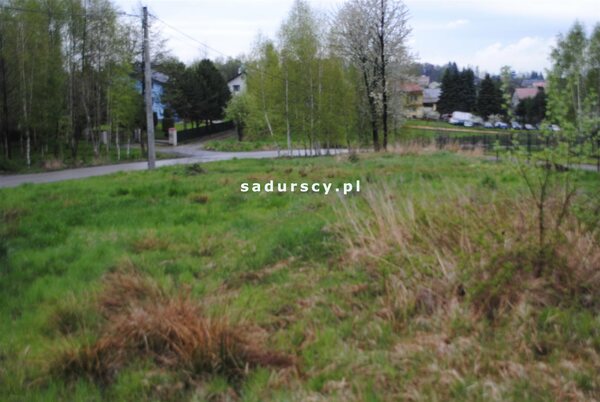 Działka 1500 m2 w Bodzanów