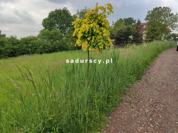 Działka 1332 m2 w Skawina