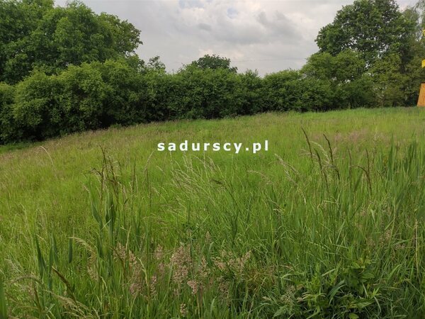 Działka 1332 m2 w Skawina