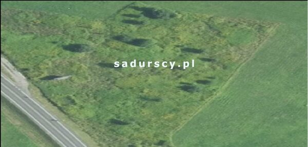 Działka 6000 m2 w Niepołomice