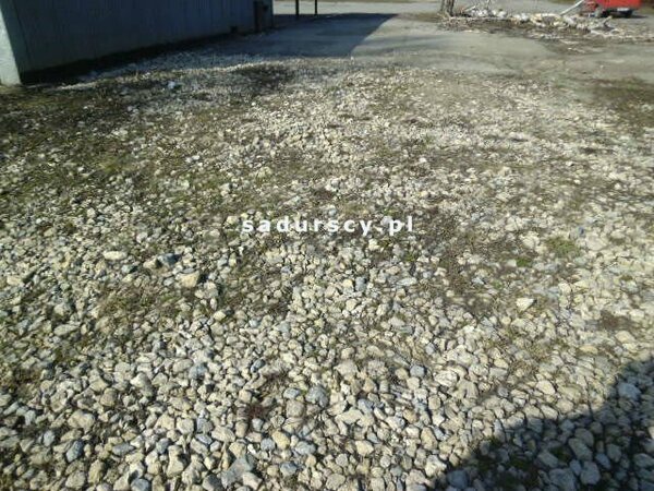 Działka 3600 m2 w Kraków